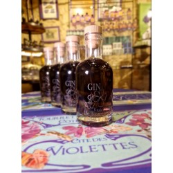 Gin Violette 20cl