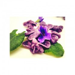Fleurs de violettes Cristalisées
