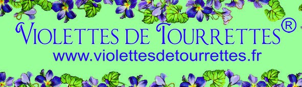 Violettes de Tourrettes